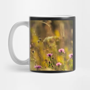 Brown Knapweed Mug